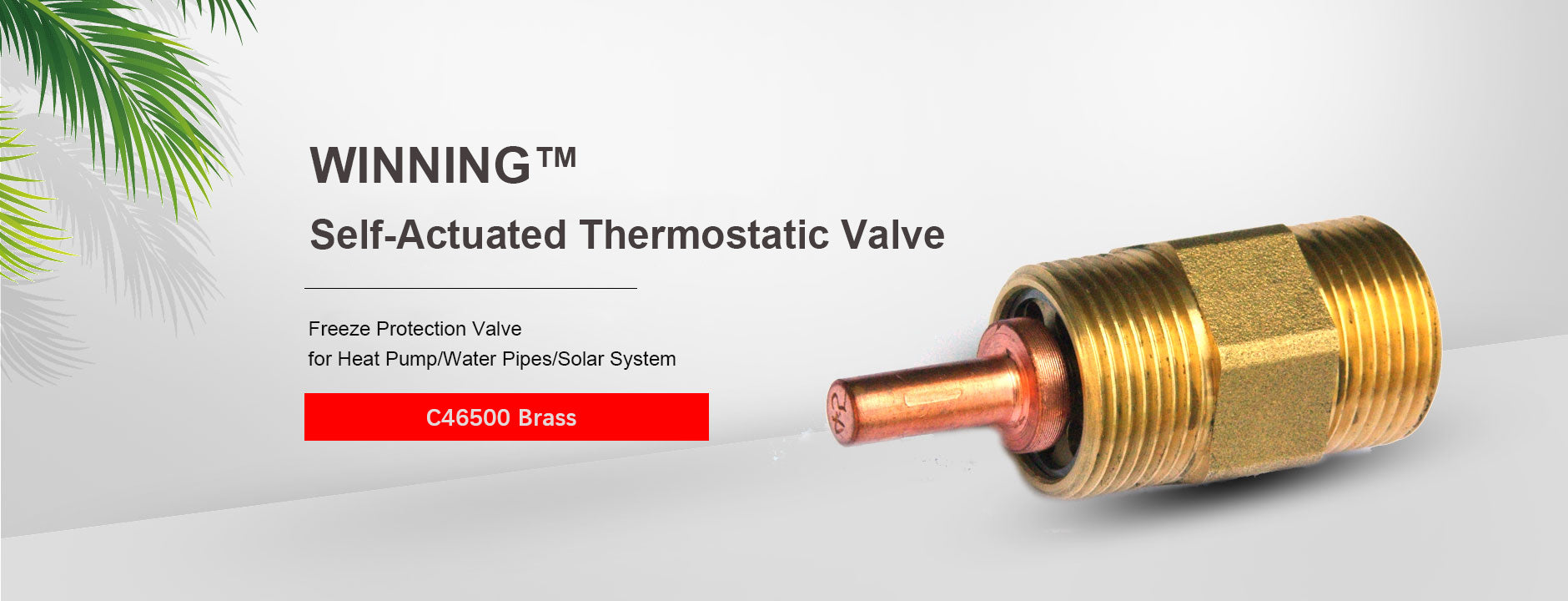 antifreezevalve.com