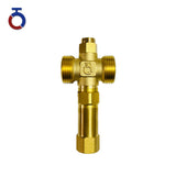 Brass G1'' Freeze Protection Valve for Heat Pump Systems – Automatic Drain Anti-freeze at 1°C Open / 4°C Close with Air Vent