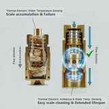 Brass Freeze Protection Valve 1/2'' NPT – Automatic Anti-Freeze Drain Water to Prevent Pipe Freezing Activates at 1°C to 4°C Temperature Control