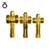 Brass G1'' Freeze Protection Valve for Heat Pump Systems – Automatic Drain Anti-freeze at 1°C Open / 4°C Close with Air Vent